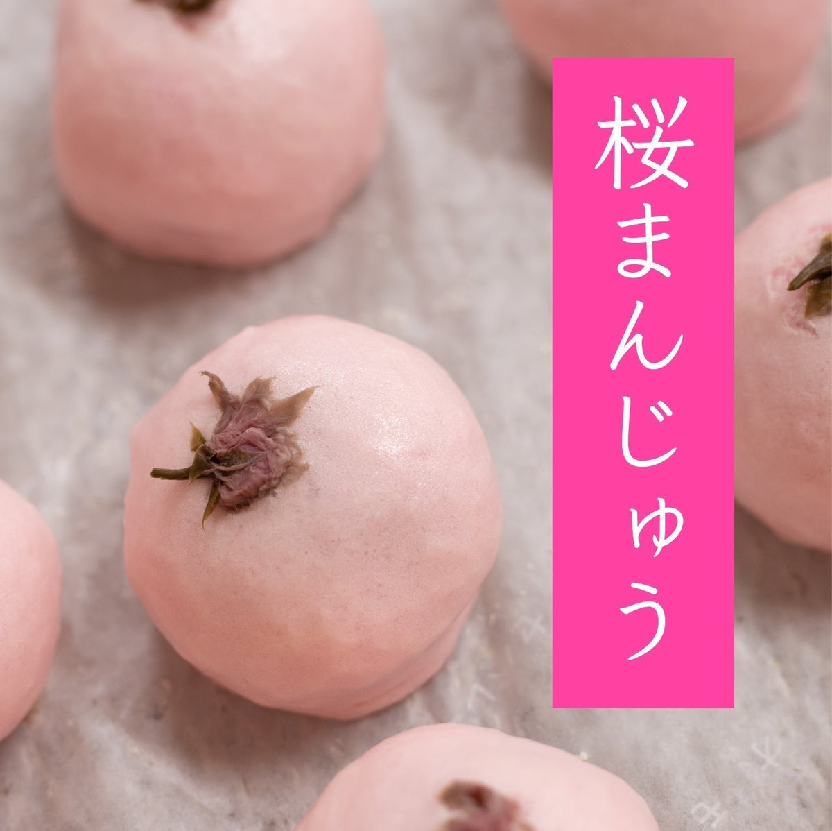 No.1093  桜まんじゅうが紹介されました