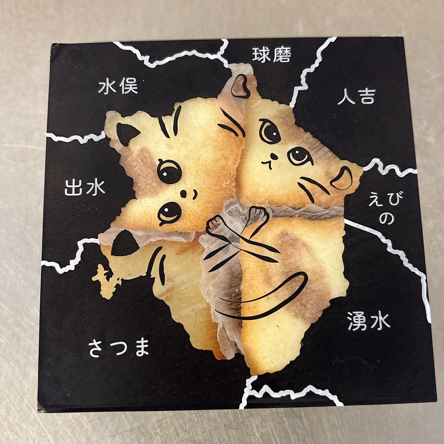 いさ猫